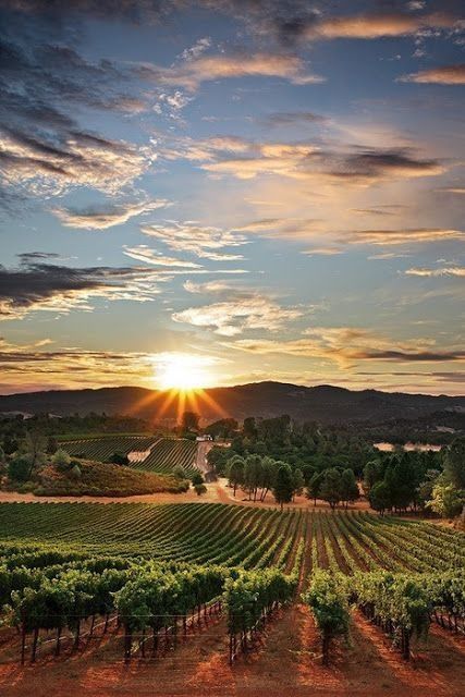 argentina sunset