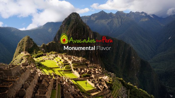 peru-avocado