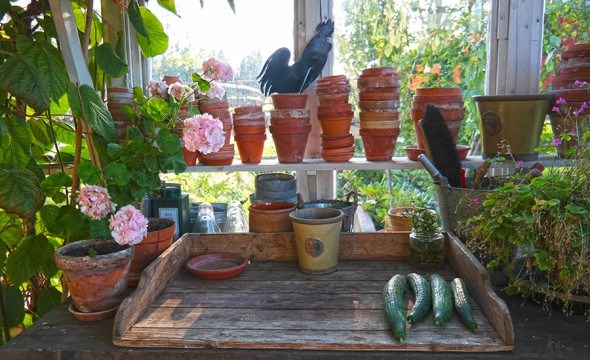 Greenhouse and gardening table in Swedish countryside | Photo: Katja Presnal @skimbaco