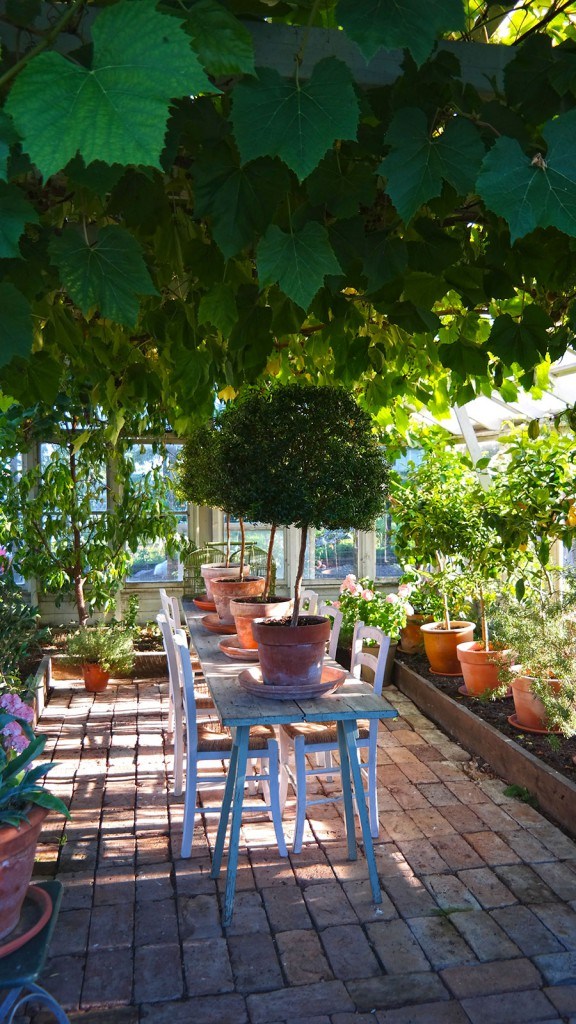 Perfect greenhouse in Swedish countryside