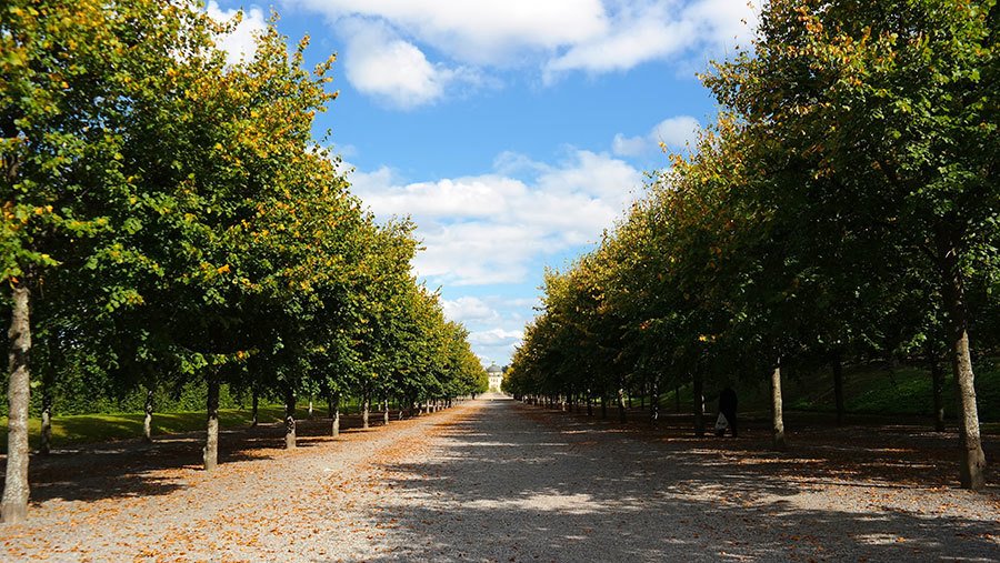 drotningholm-palace-gardens