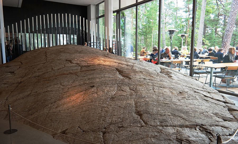 nature-inside-the-museum