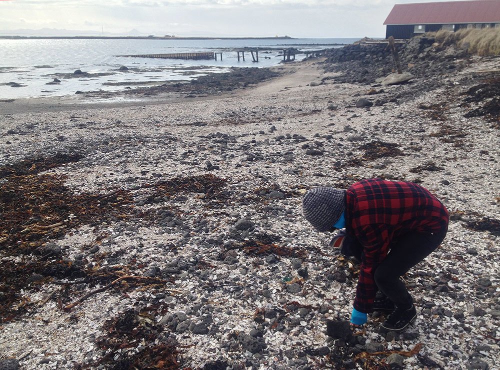 iceland-beaches