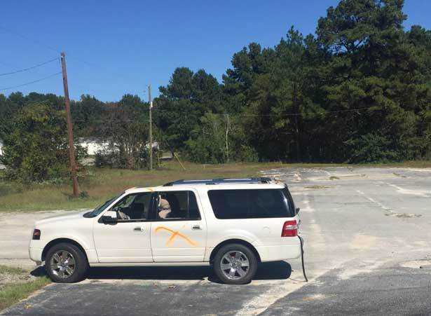 south-carolina-rescued