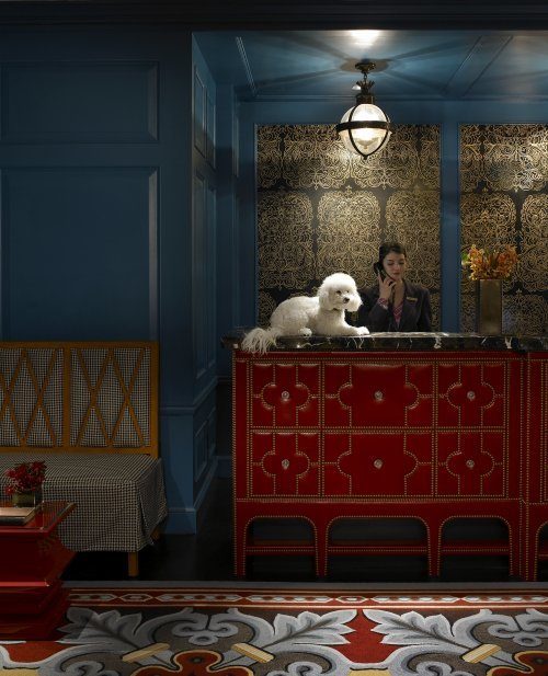 Kimpton hotels Directors of Pet Relations