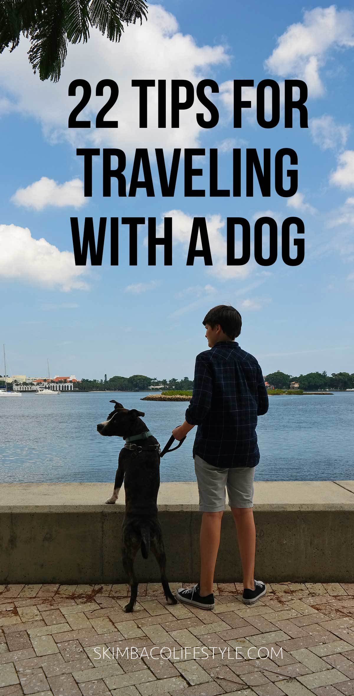 The Ultimate pet travel guide! 22 tips for traveling with a dog! Via travel experts at @skimbaco