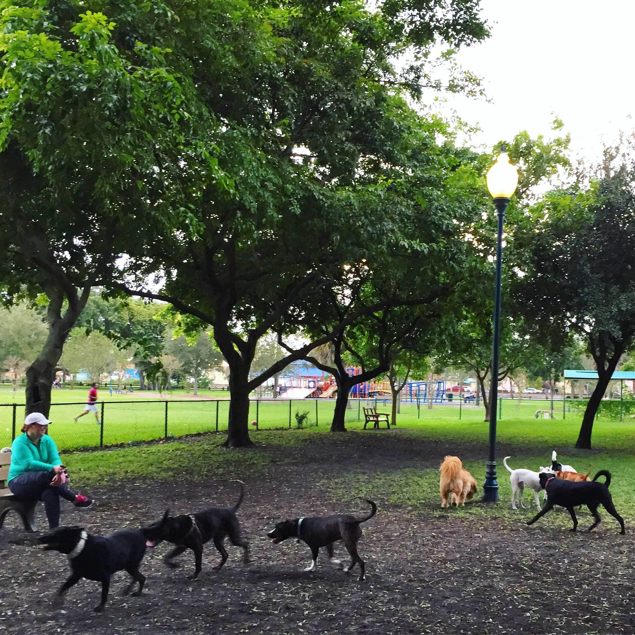 Dog park in West Palm Beach, Florida
