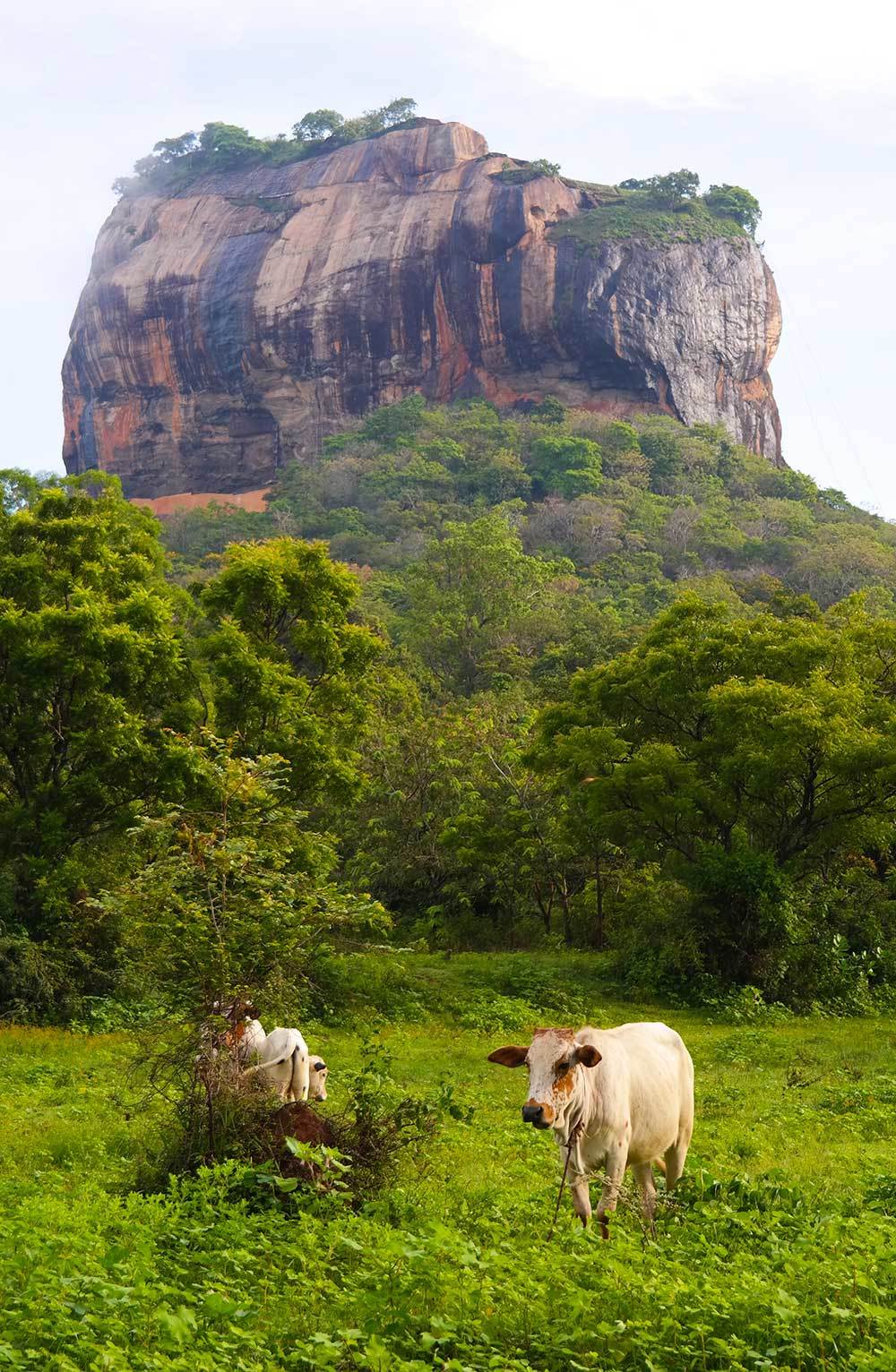 sigiraya-rock-sri-lanka