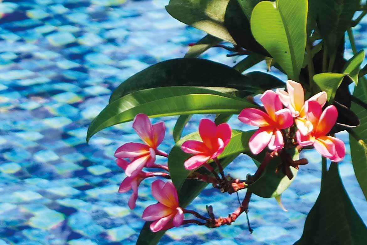 bali-inspiration-1