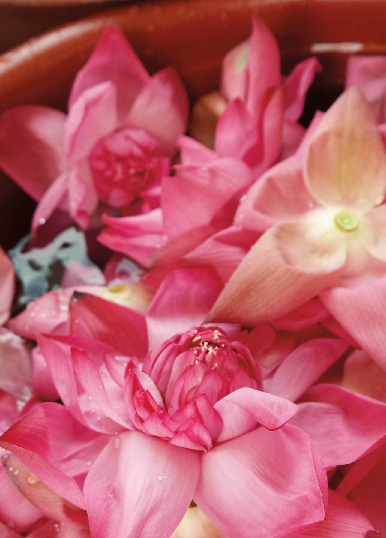 bali-flowers-inspiration