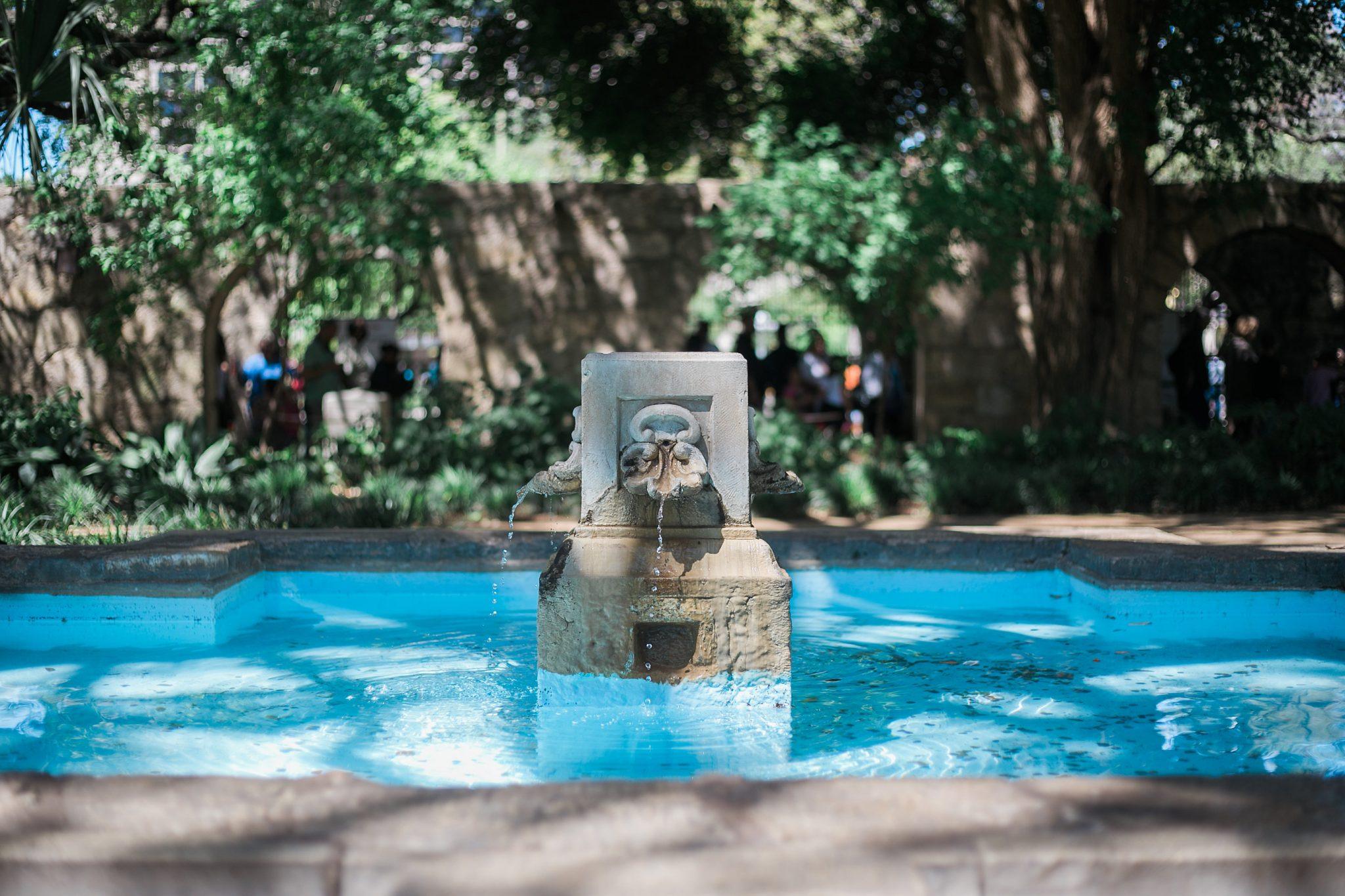 Alamo gardens in San Antonio