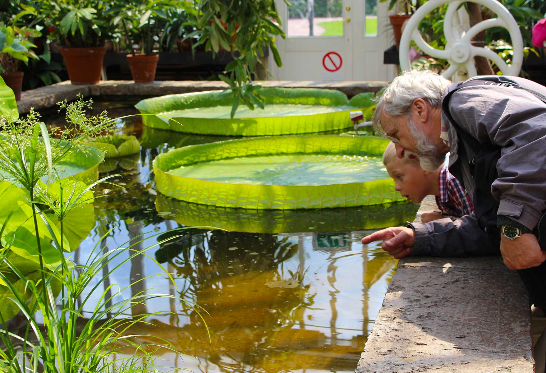 Everyone loves the Palmhouse in the Gothenburg Garden Society.