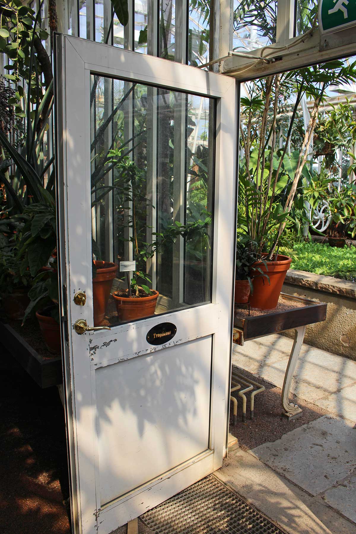 palmhouse-gothenburg-door-open