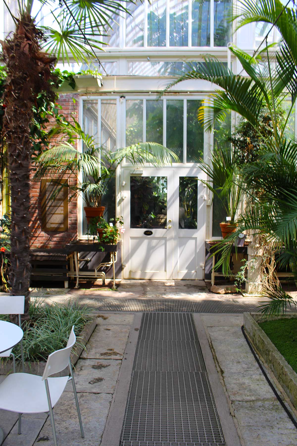 Everyone loves the Palmhouse in the Gothenburg Garden Society.