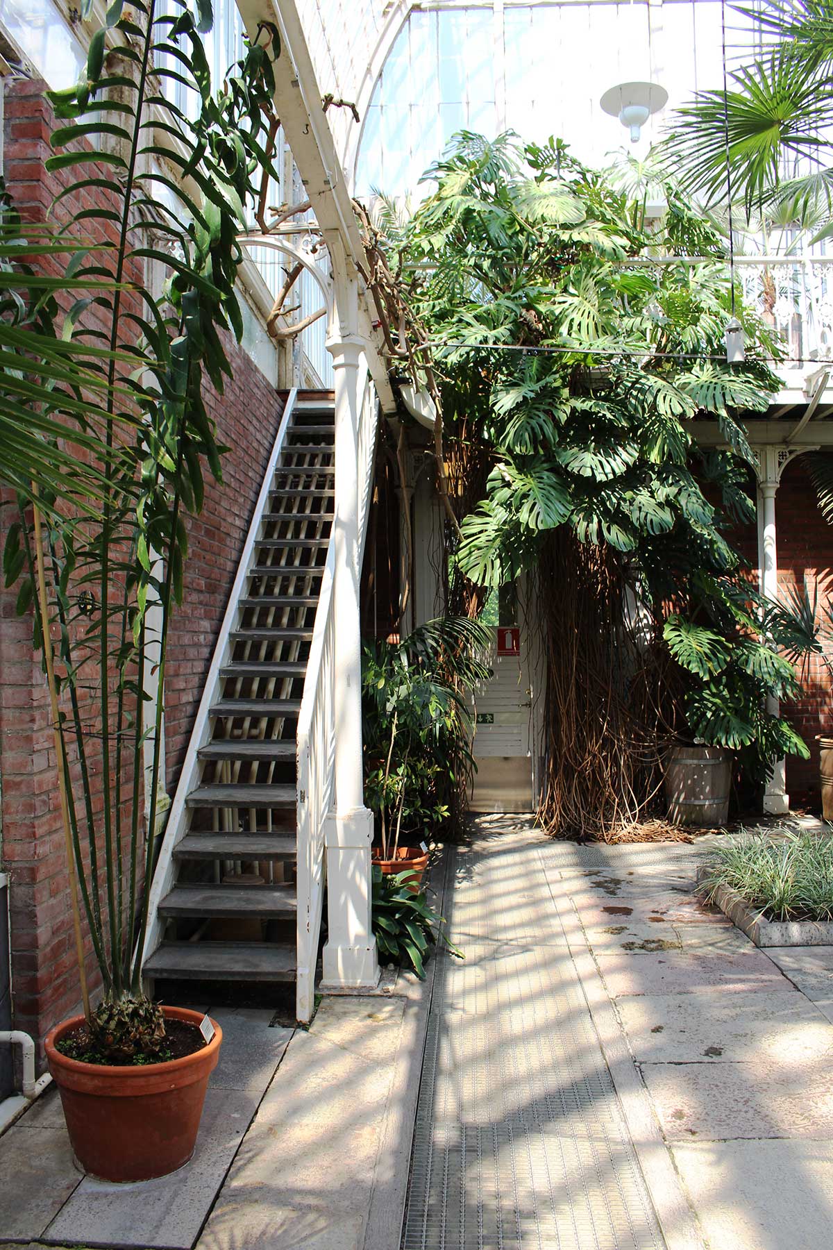 Palmhouse, Gothenburg