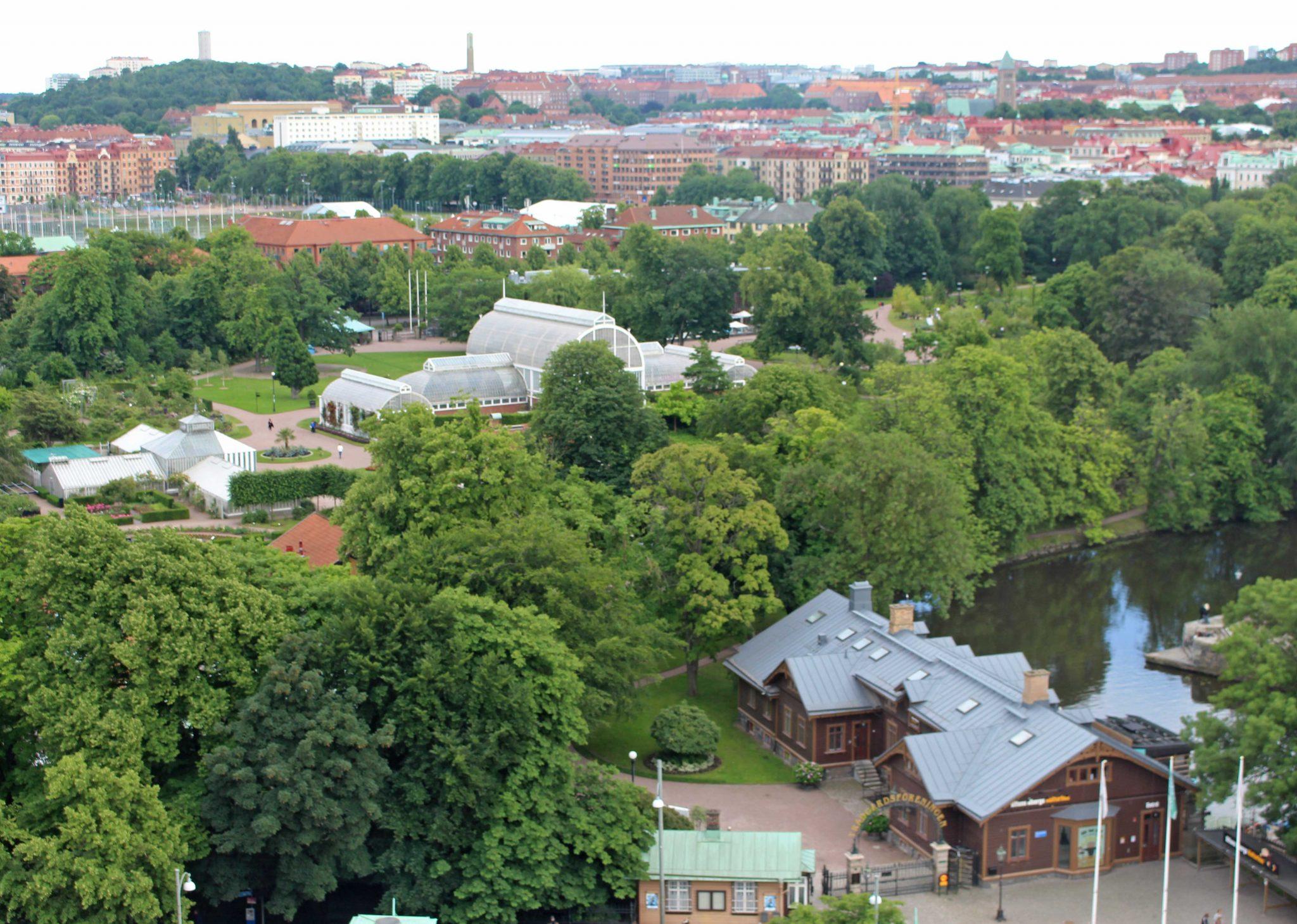rose-garden-gothenburg