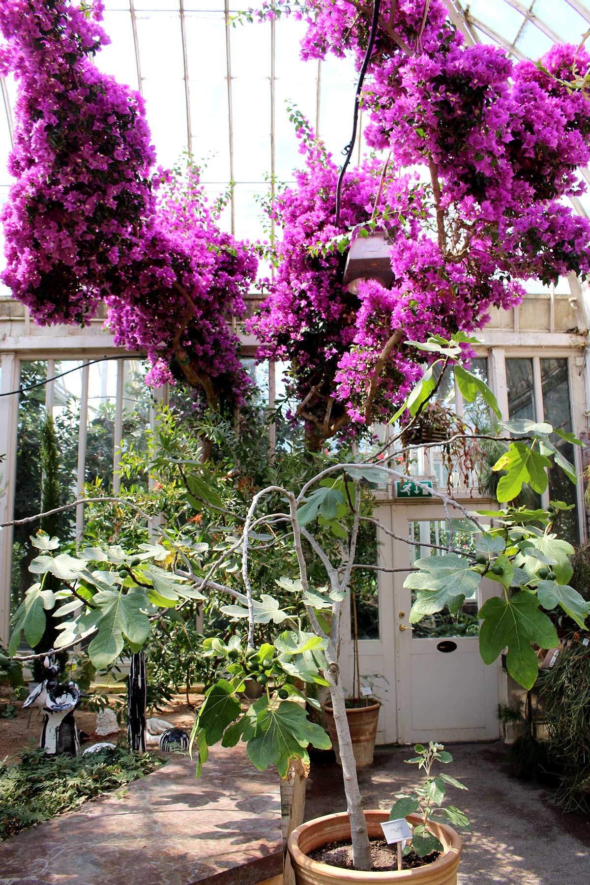 Palmhoue in Gothenburg