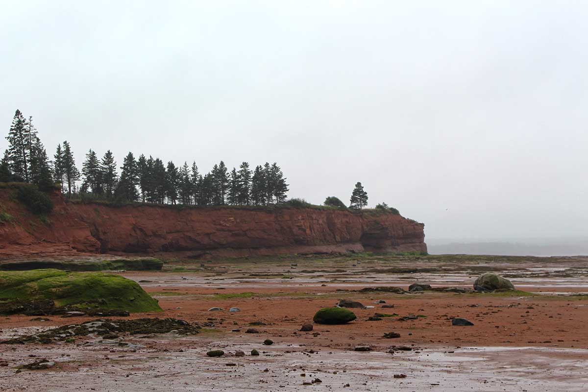 bayoffundy-tide