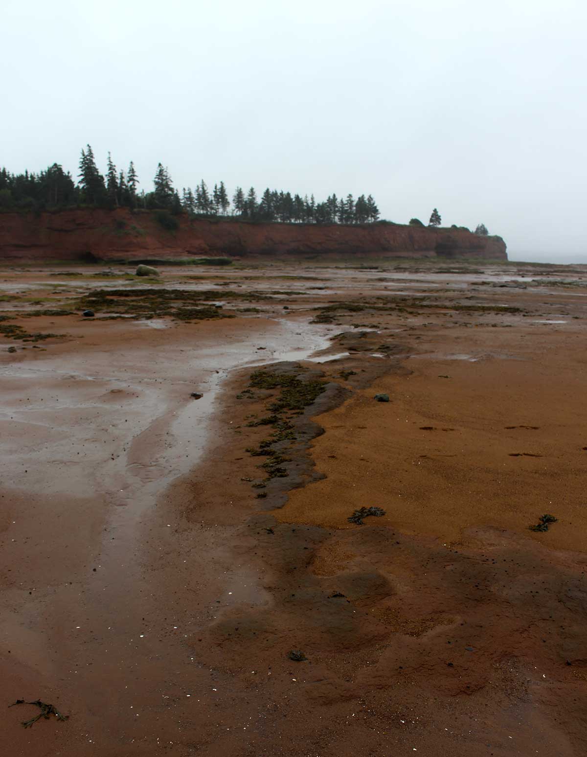 bayoffundylowtide