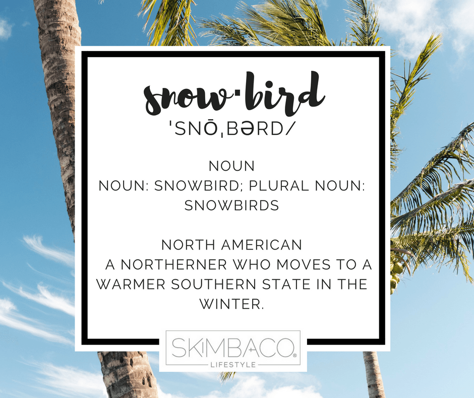 snowbird definition 