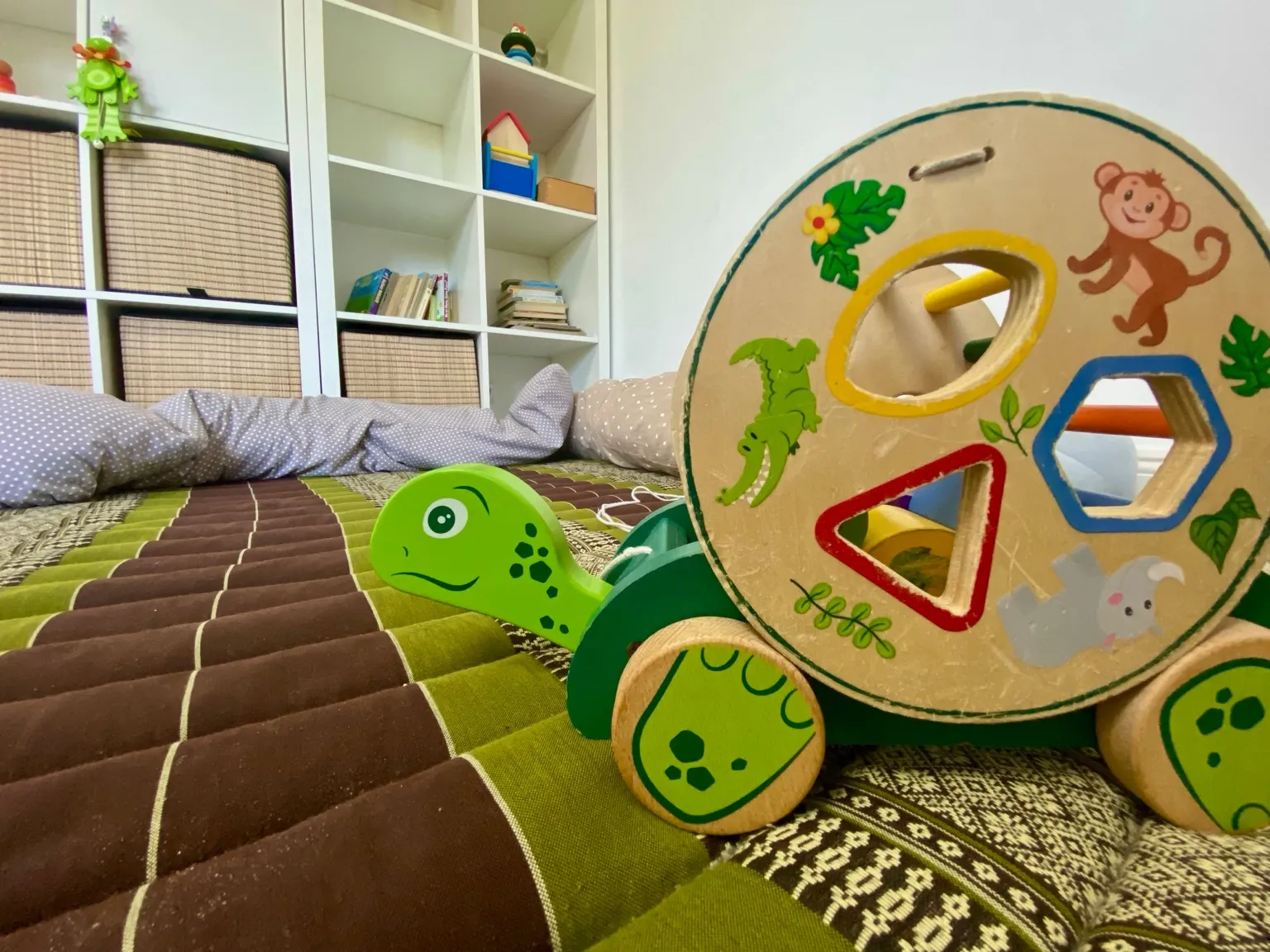 Spielzeug Schildkröte im Betreuungsraum