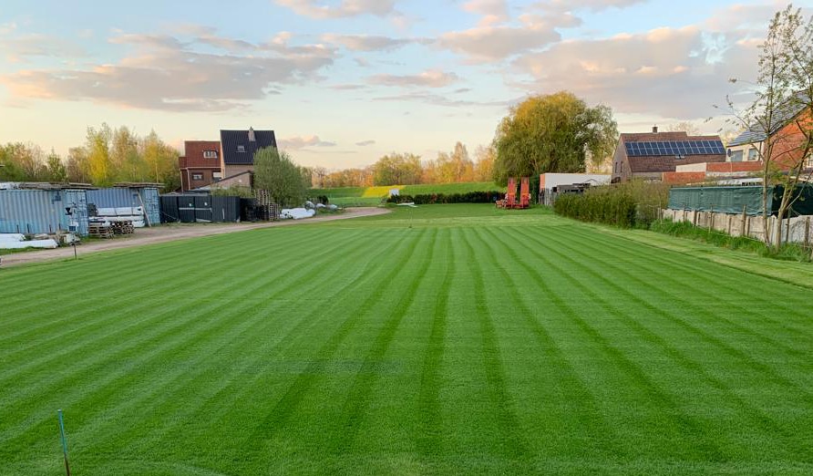 Testveld voor paardenpiste met sportgras en zichtbare maaistrepen, ideaal voor analyse van bodemkwaliteit en grasgroei