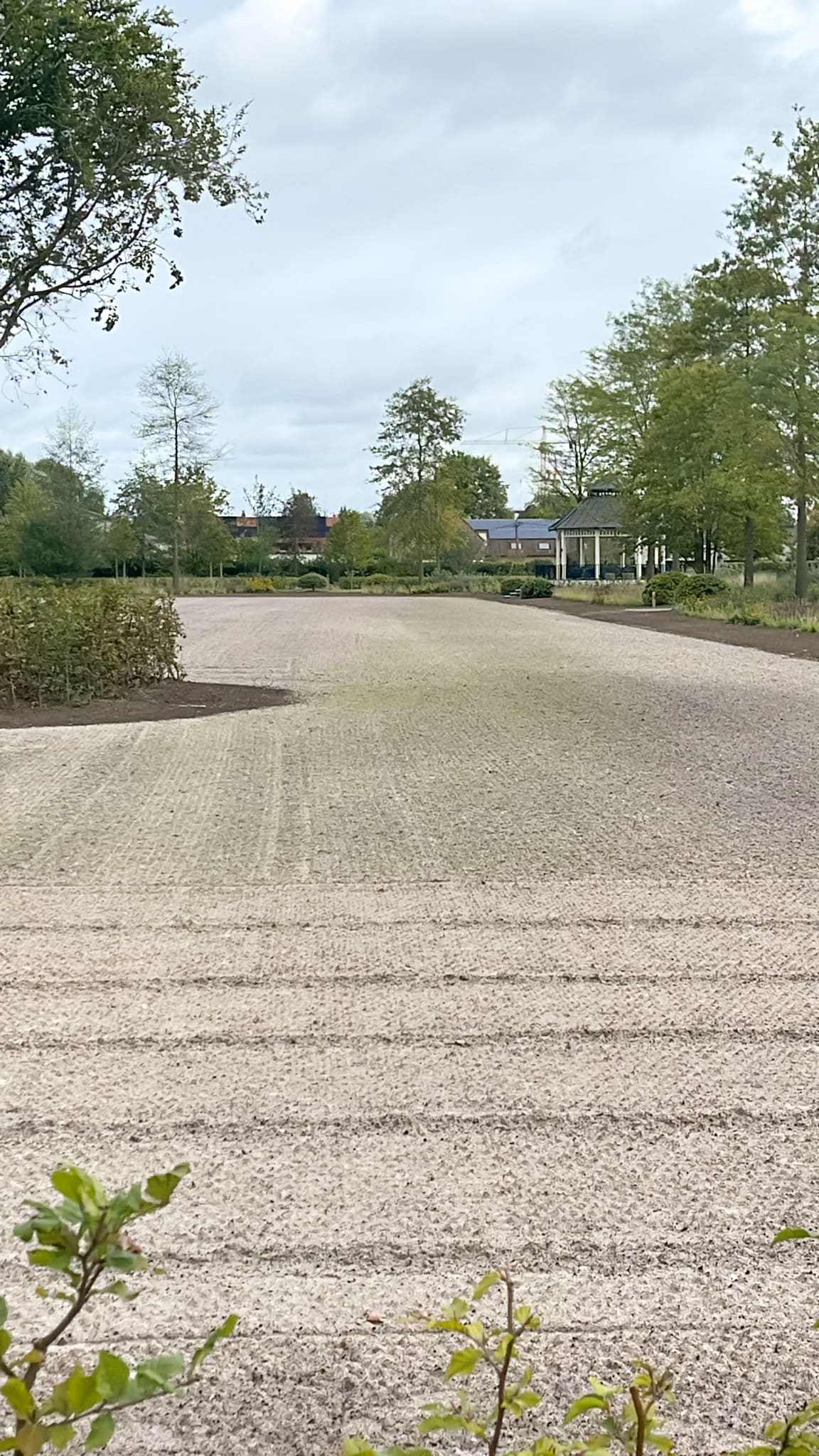 Paardenpiste in voorbereiding met egaal ingewerkt zandbed en zicht op de omringende beplanting – project Graspiste H5