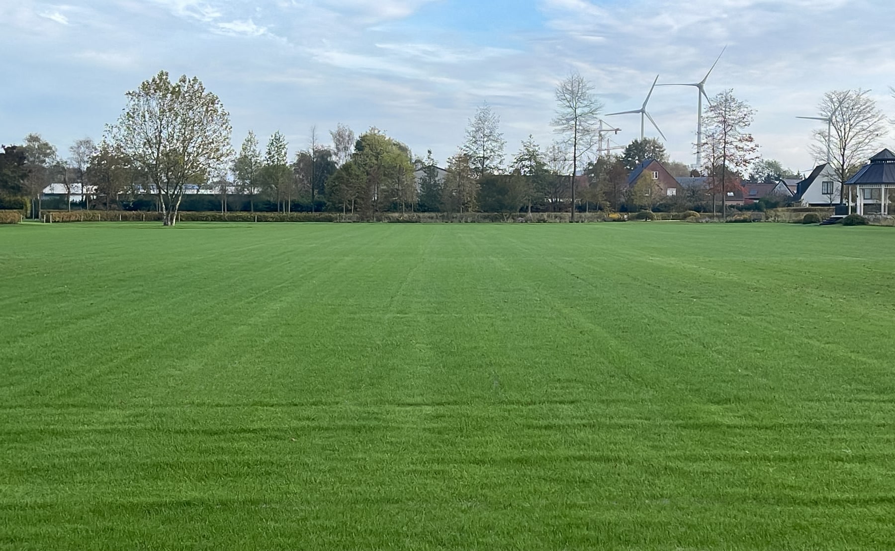 Graspiste met egaal volgroeide grasmat na inzaai, onderdeel van project H5, met omliggende beplanting en zicht op infrastructuur