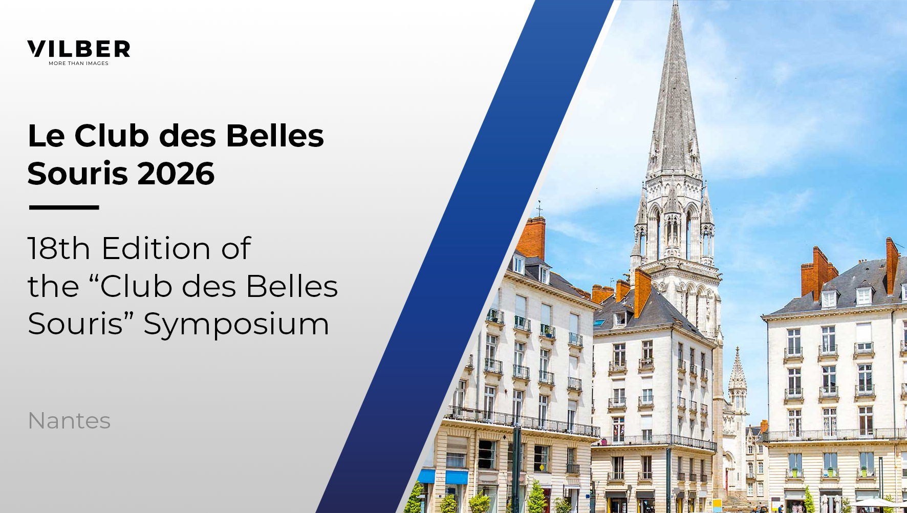 Le Club des Belles Souris