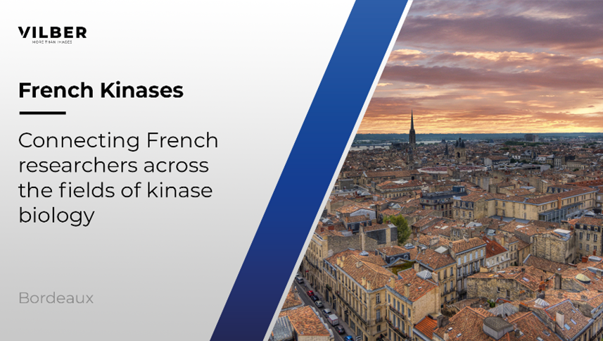French Kinases