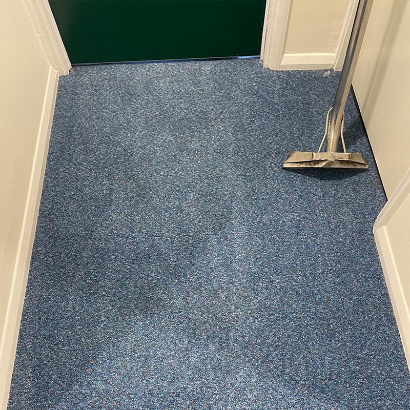 Carpet cleaned by JMR Carpet Services