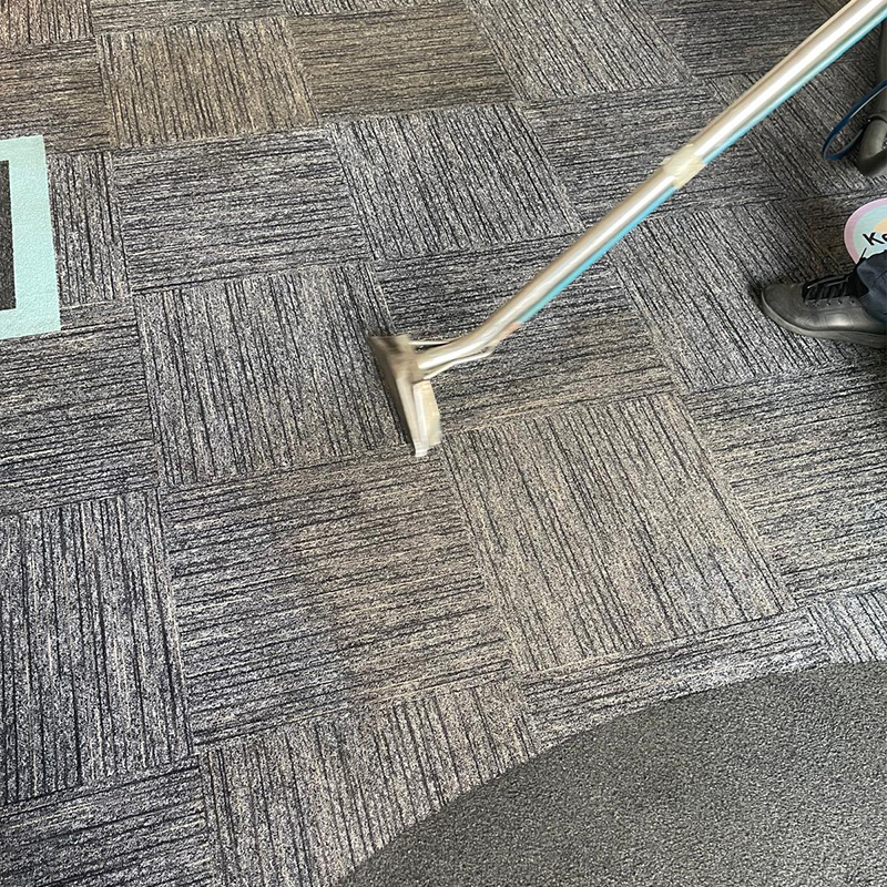 Carpet cleaning services