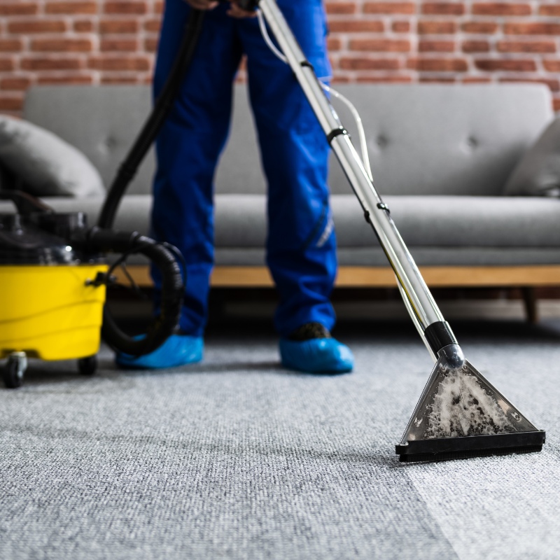 Carpet services