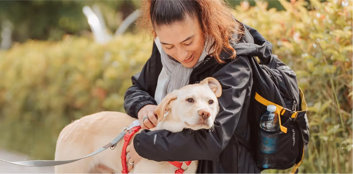 Una persona interagisce con un cane