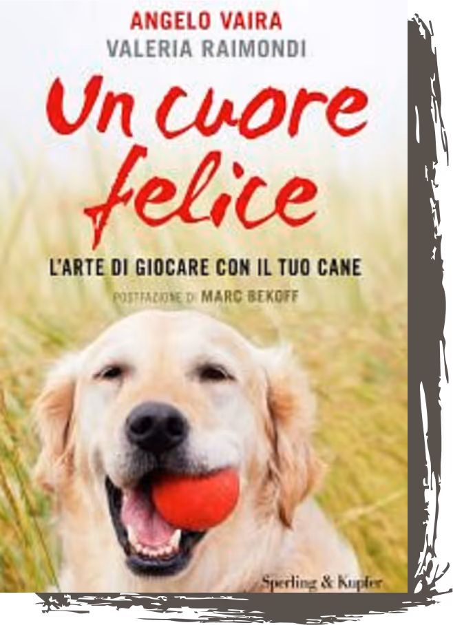 Un cuore felice - Angelo Vaira