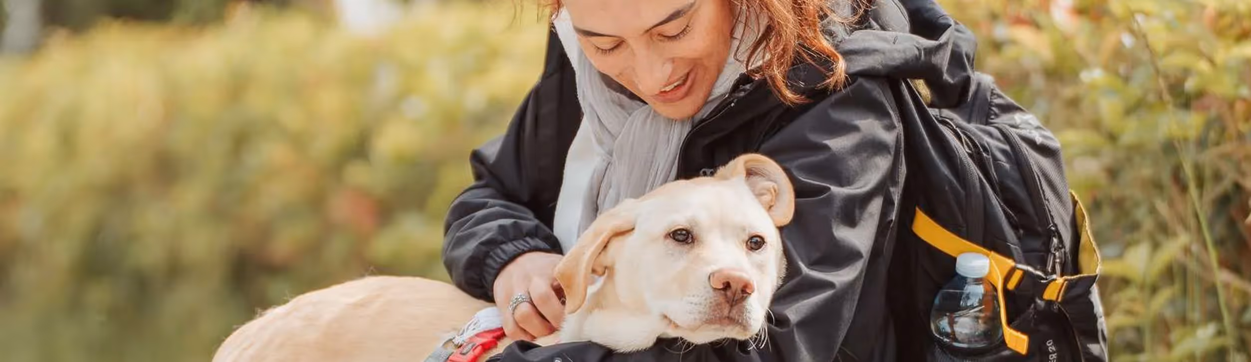 Una persona interagisce con un cane