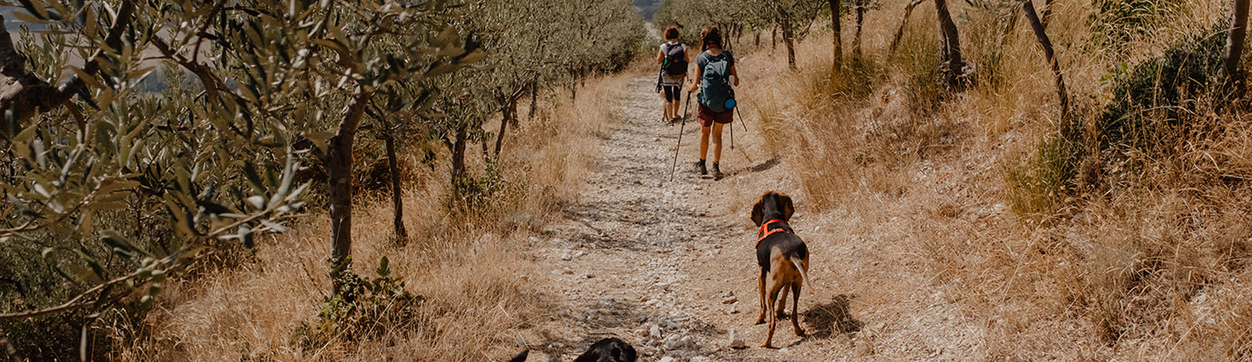 Sentiero - Il cammino degli animali - Angelo Vaira