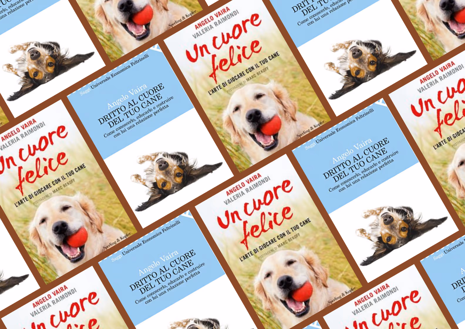 Libri di Angelo Vaira