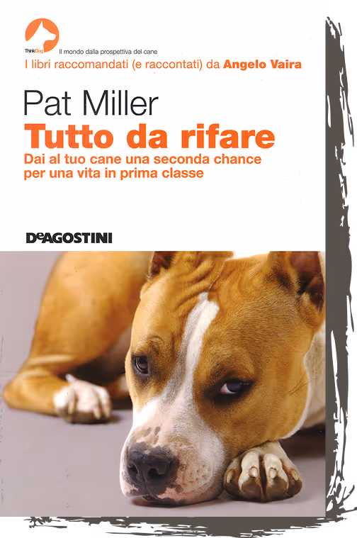 Tutto da rifare - DeAgostini