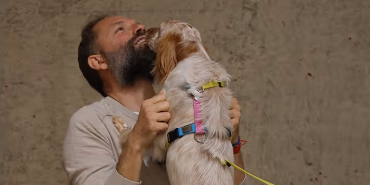 Copertina articolo blog: Se stai pensando di regalare un cane devi assolutamente guardare guesto