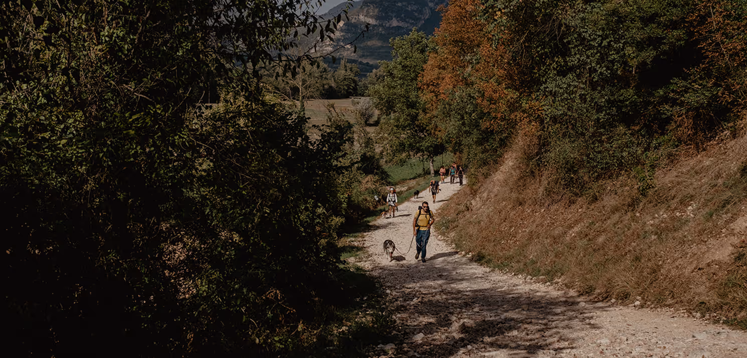 Il cammino degli animali