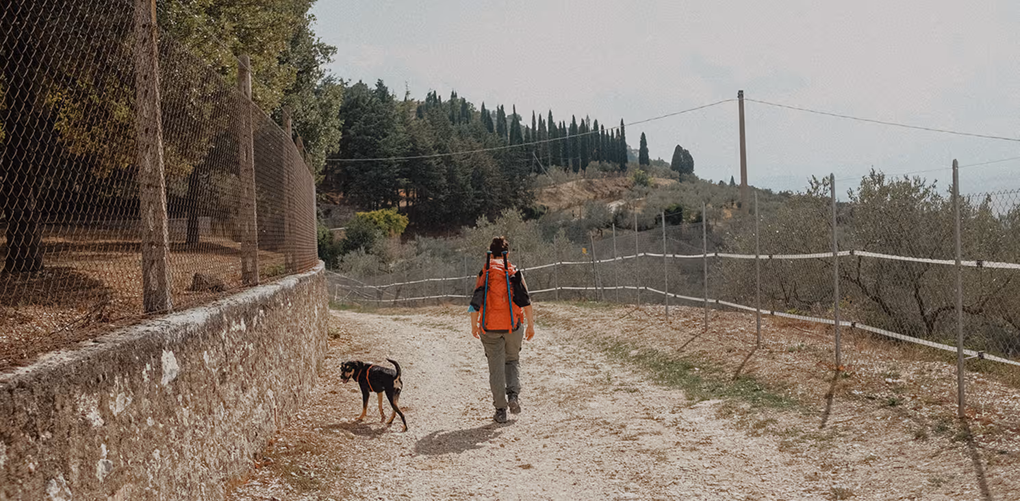 Il cammino degli animali - una pellegrina e il suo cane