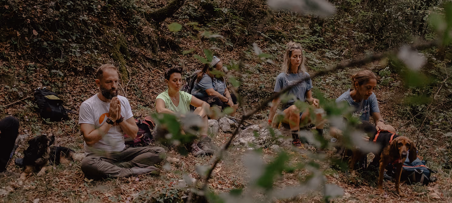 Il cammino degli animali - meditazione collettiva