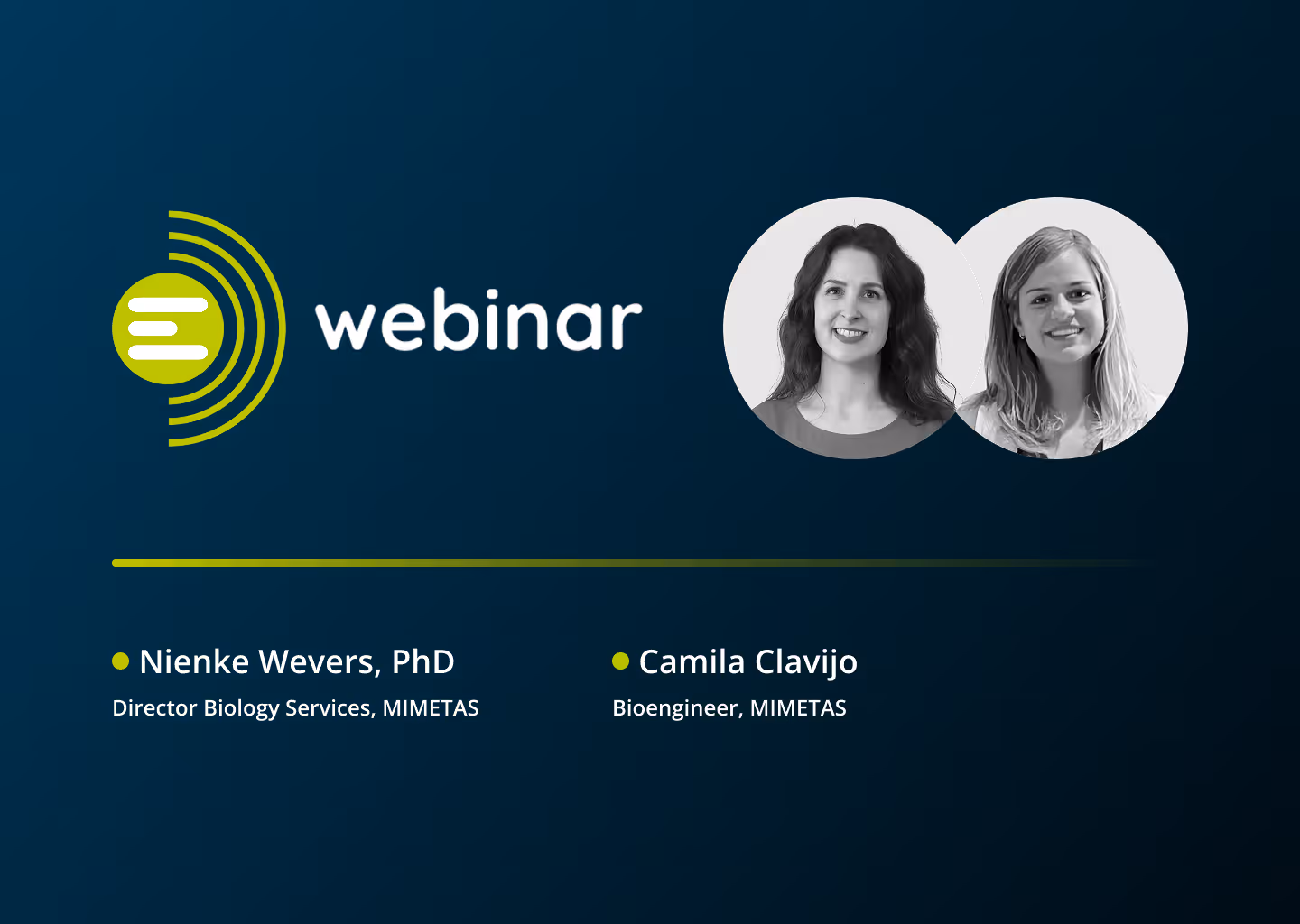 A Perfused Human Blood-Brain Barrier for Disease Modeling and DMPK Studies