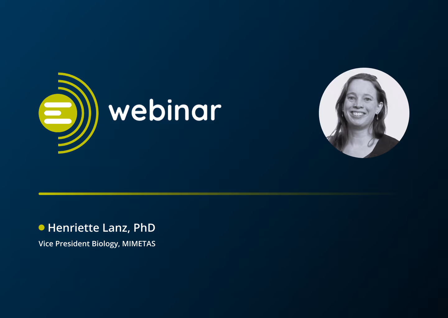 Opportunities in Toxicity Testing of New Drug Modalities with 3D in vitro Models