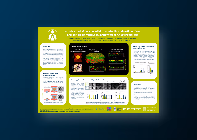 An Advanced Airway-on-a-Chip Model for Studying Pulmonary Fibrosis