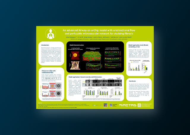 An Advanced Airway-on-a-Chip Model for Studying Pulmonary Fibrosis