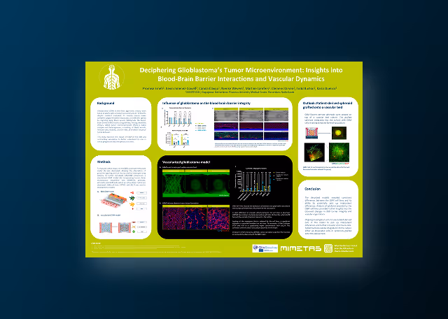 Modeling Glioblastoma's Tumor Microenvironment: Blood-Brain Barrier Interactions and Vascular Dynamics