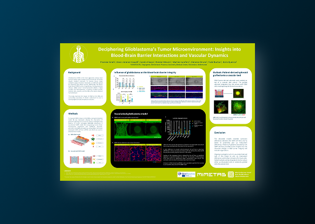 Modeling Glioblastoma's Tumor Microenvironment: Blood-Brain Barrier Interactions and Vascular Dynamics