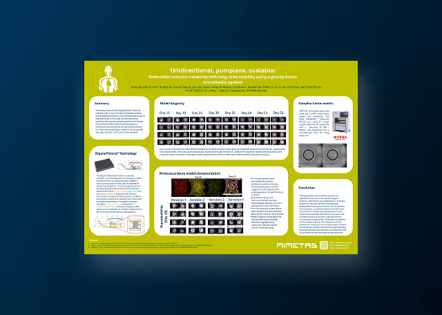 Perfusable Vascular Networks With Long-Term Stability Using a Gravity-Driven Microfluidic System